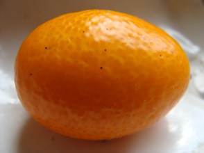 Kumquat