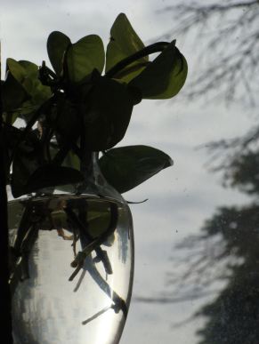 a lazy day in the office lo res