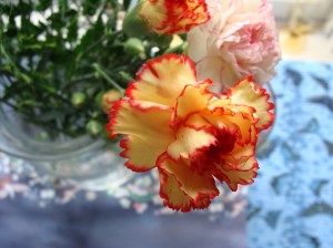 Flowers Flowers