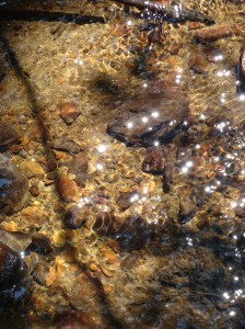 Sunlight Dancing on Water