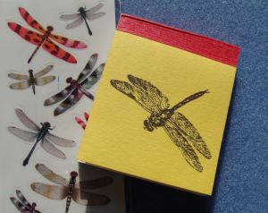 Dragonfly Gifts