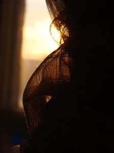 Sun Through My Window