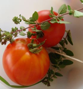 tomatoes with oregano