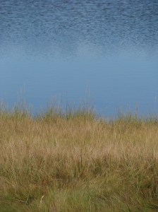 In the Spirit of Rothko