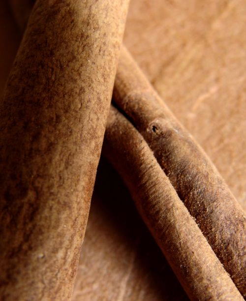 Cinnamon Sticks