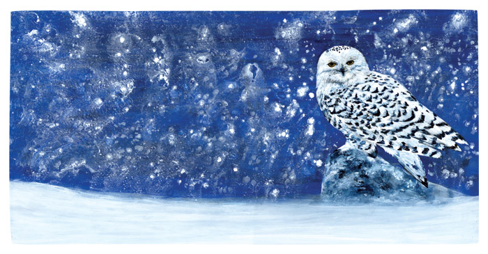 Snowy Evening by Rod MacIver