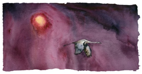 Solo Migration by Rod MacIver