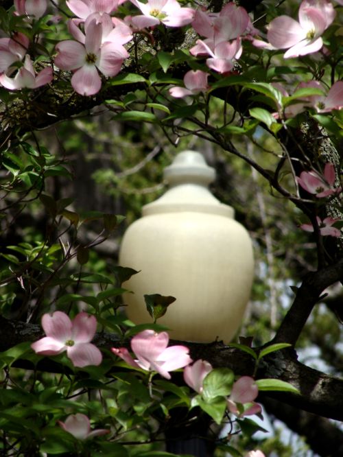Boston Public Garden Street Light