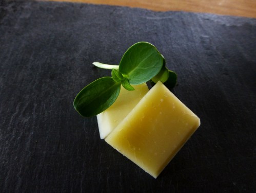 sunflower sprouts & cheddar cheese