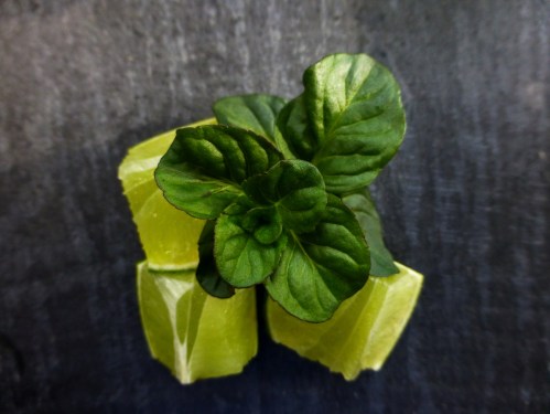 lime and apple mint