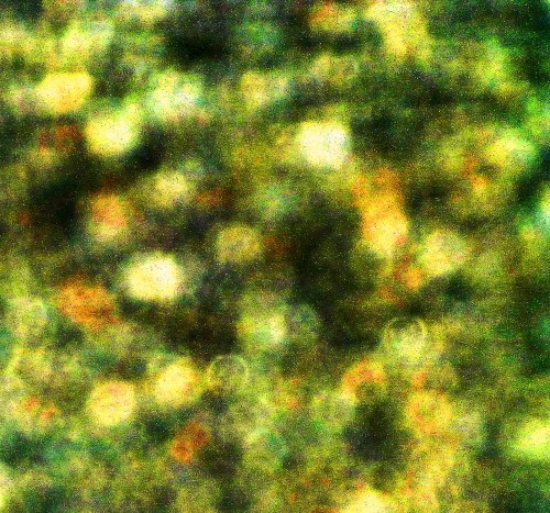 Muffler Shop Parking Lot ... Enhanced