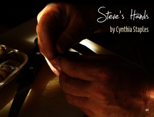 Steve Hands for Vine Leaves Literary Journal Issue 8