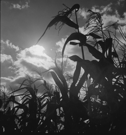 Photo by Joseph Anthony Horne, 1940s