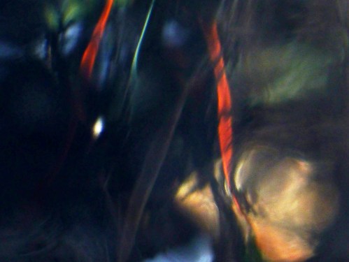 yesterday's view through the rippled glass window