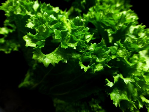 Mustard Greens