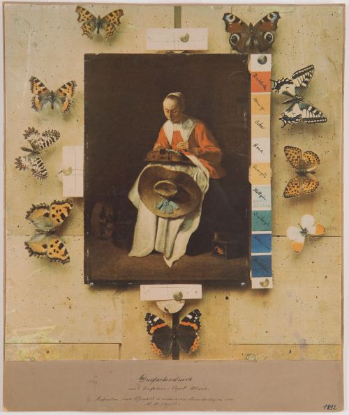 Hermann Wilhelm Vogel: Dreifarbendruck nach Verfahren: Vogel-Ulrich. Aufnahme nach Ölgemälde und natürlichen Schmetterlingen 1892 Museum Ludwig, FH 10248, Foto: © Rheinisches Bildarchiv