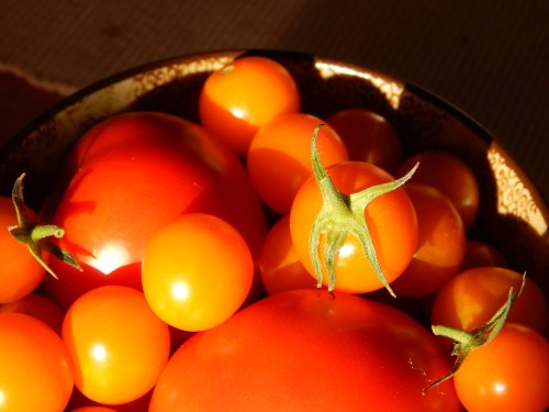 Mary's Tomatoes