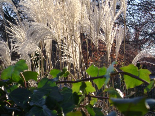 photo by Lin A. Nulman