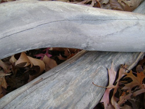 photo by Lin A. Nulman