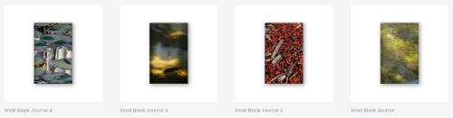 blank notebooks by cynthia staples