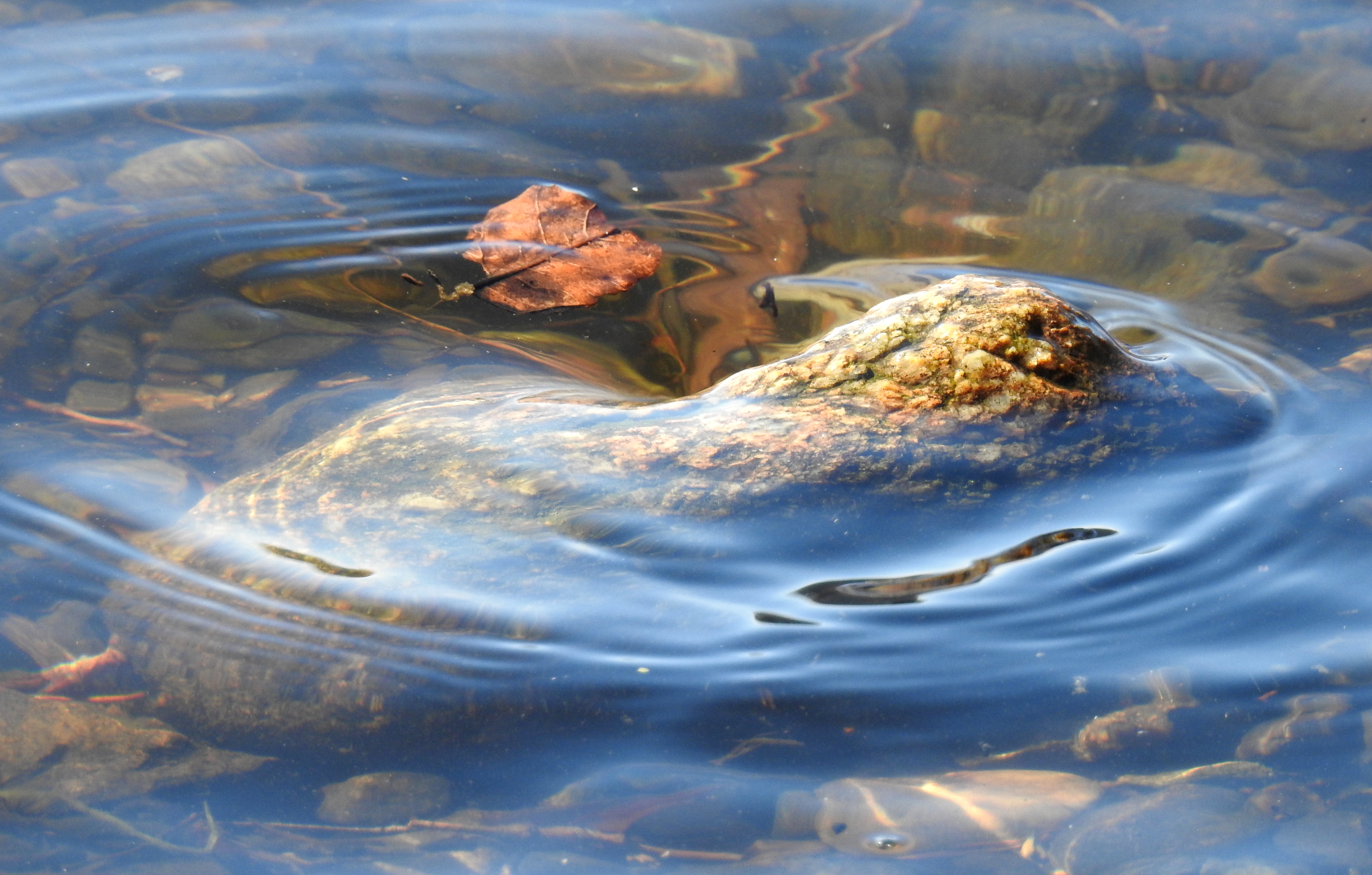 Water Effecting Rocks the rock shaping water | Words + Images