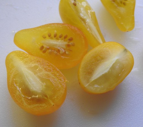 yellowtomatoes