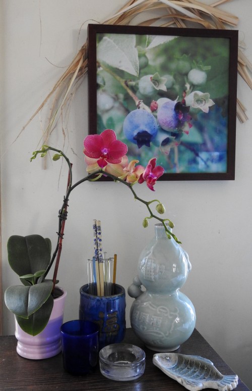 orchidandblueberries