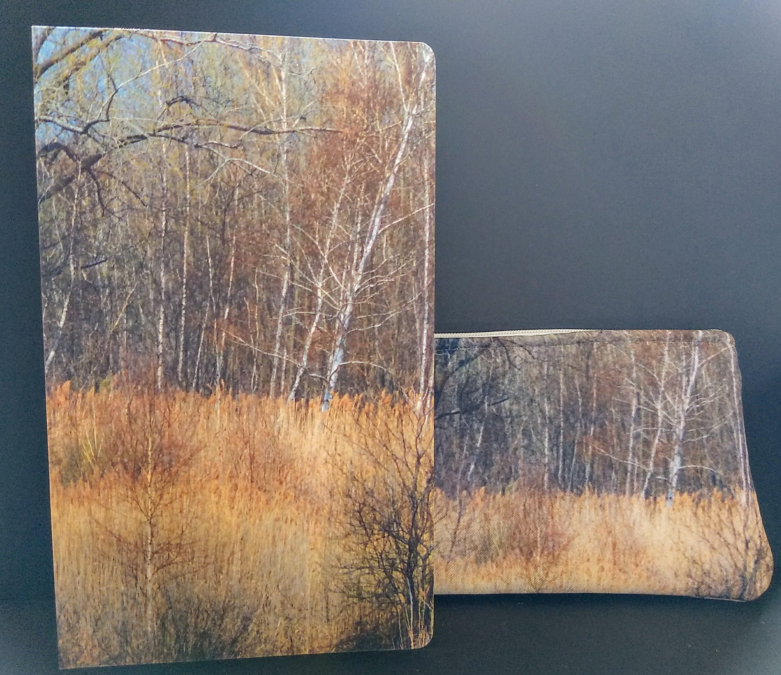 IMG_20171030_114704359-2