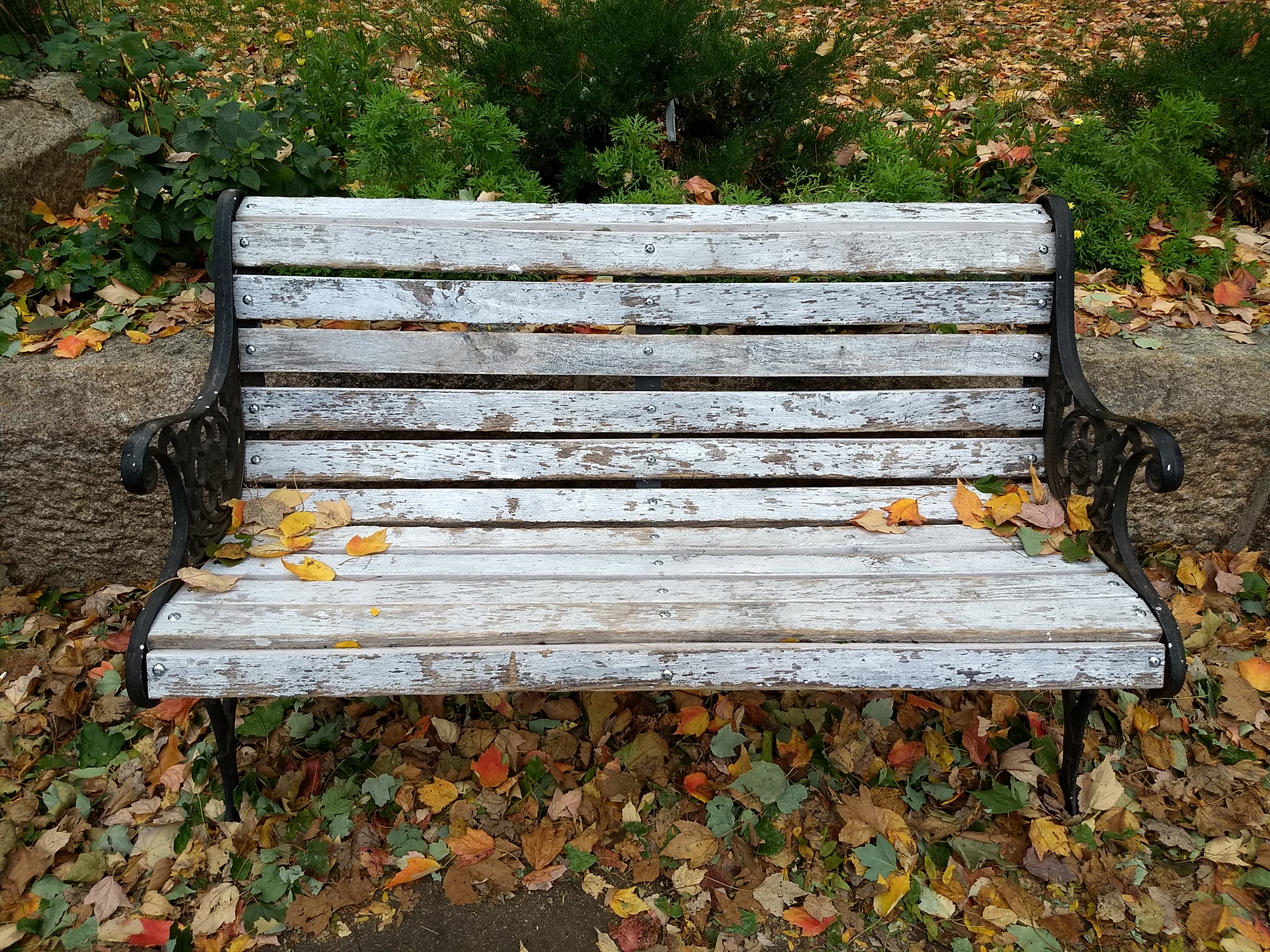 IMG_20171101_145158370