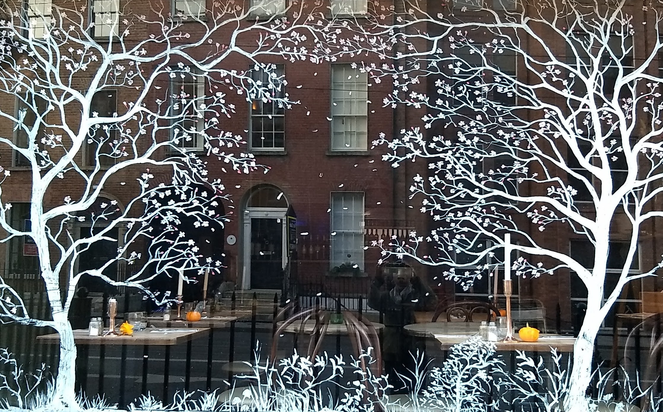 IMG_20171105_155139874