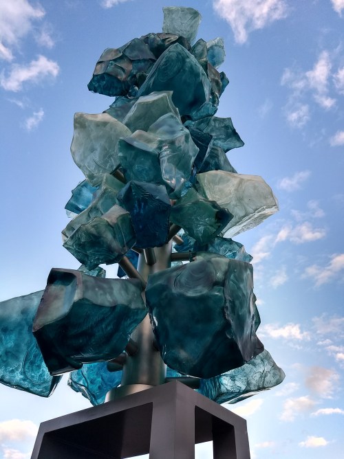 IMG_20171122_151353261_HDR