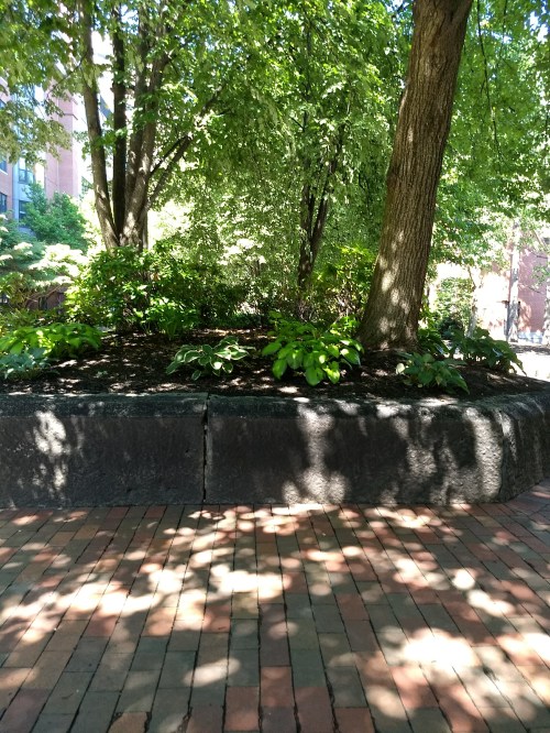 IMG_20180718_150102607