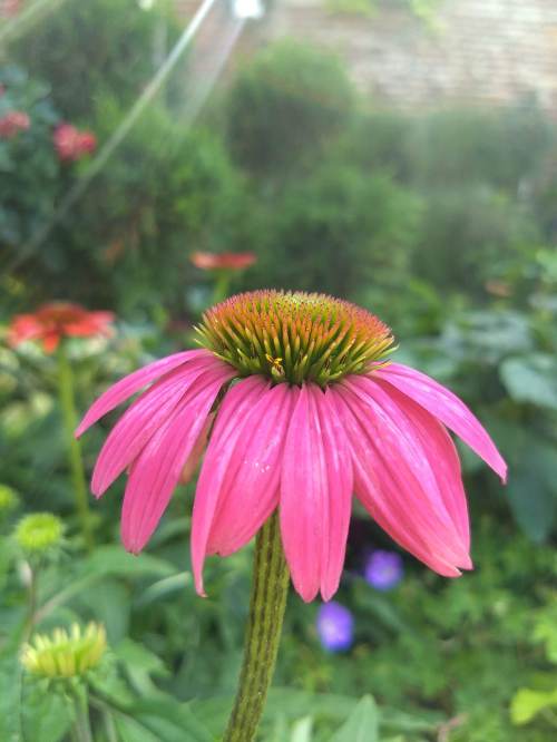 IMG_20180824_104228369