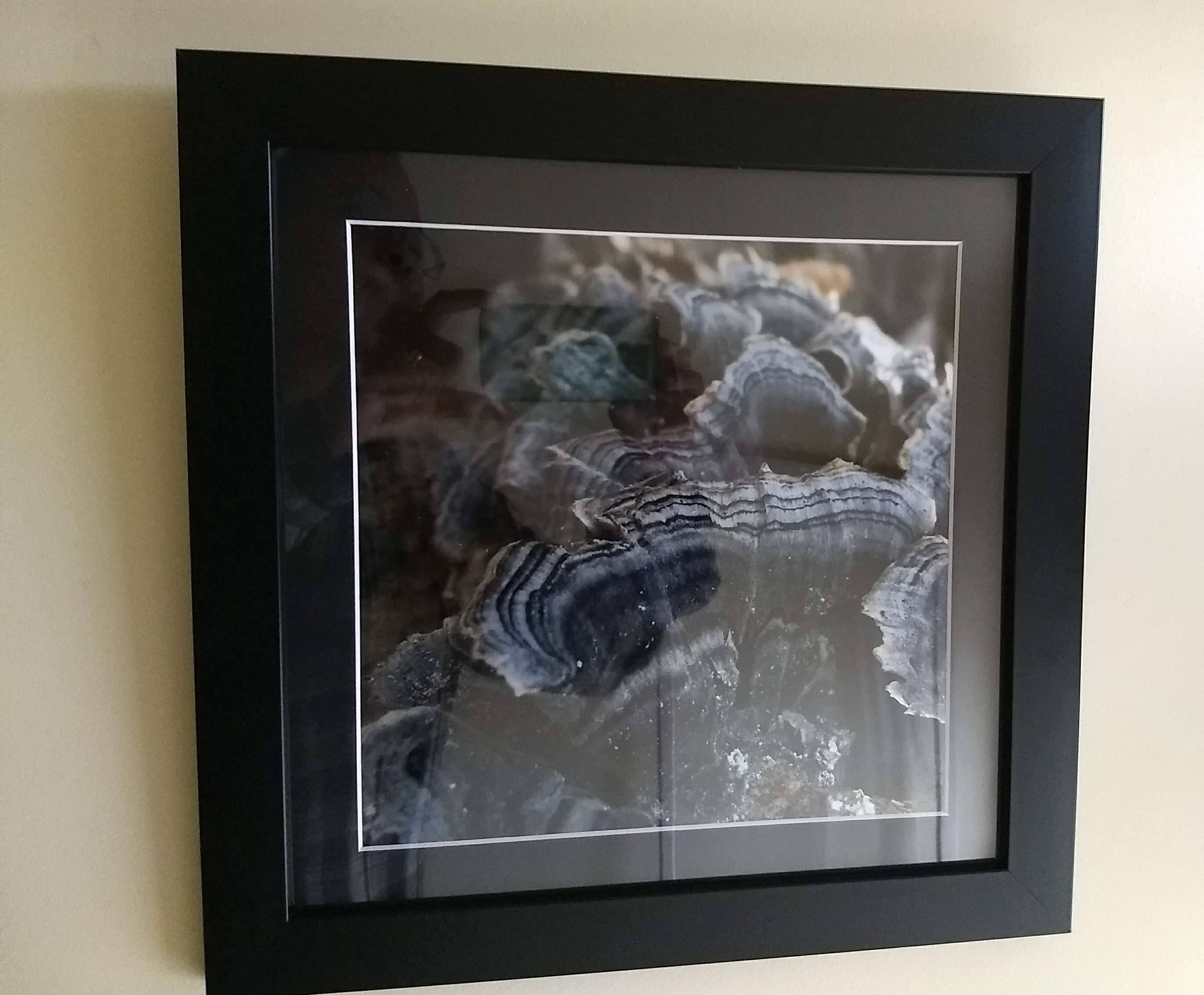 IMG_20181126_130507534