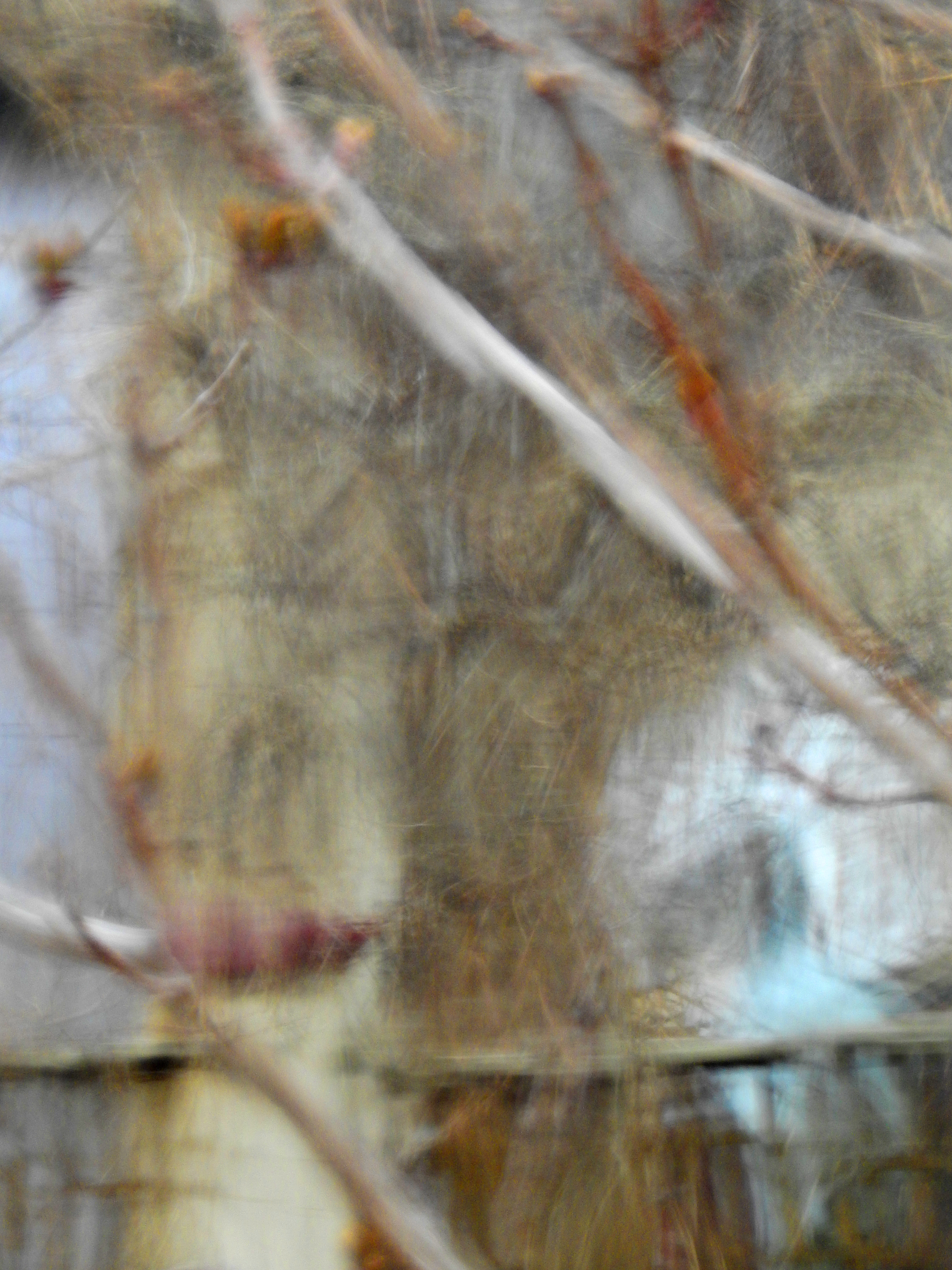 rippledglassbranches3