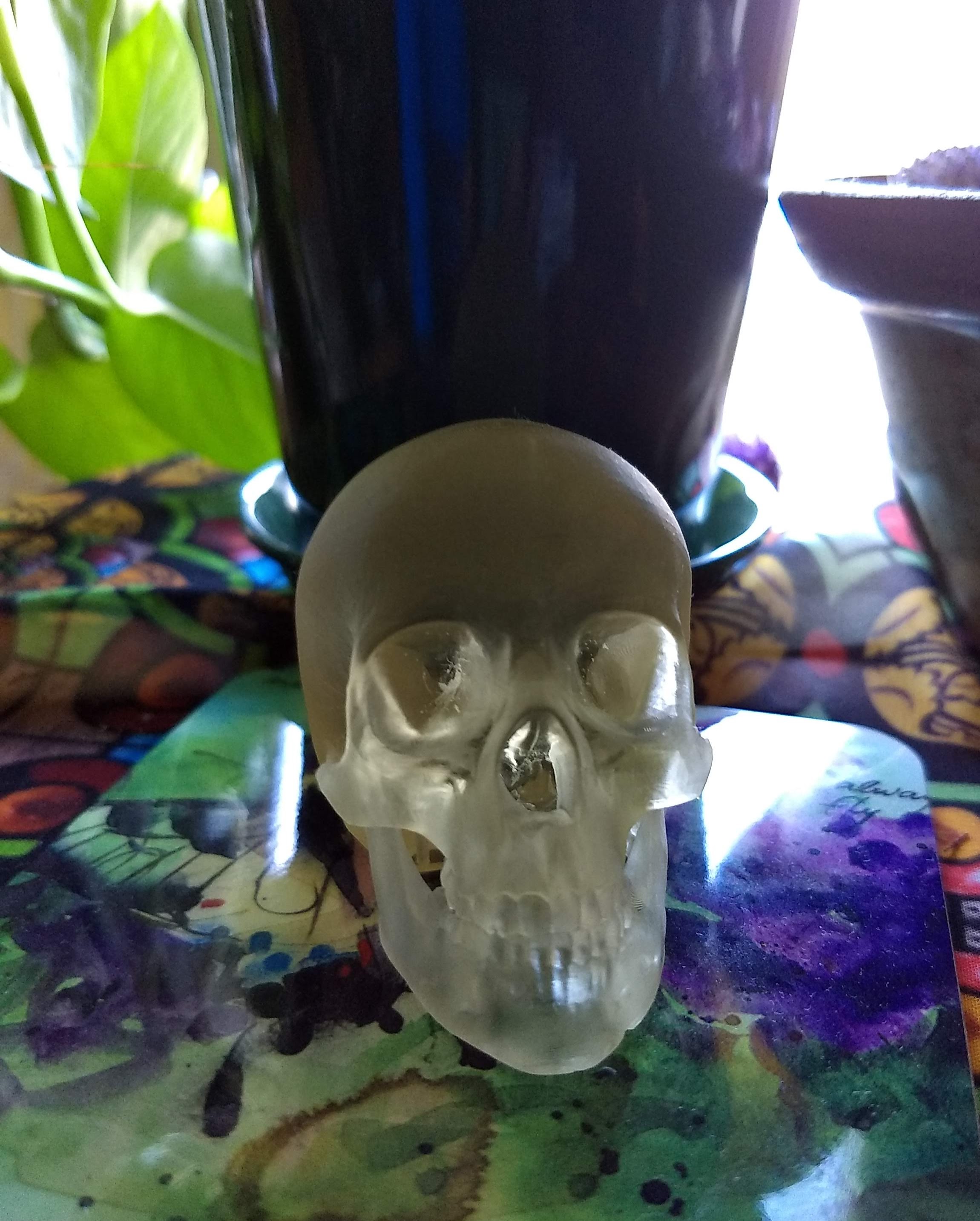 IMG_20191006_100659183