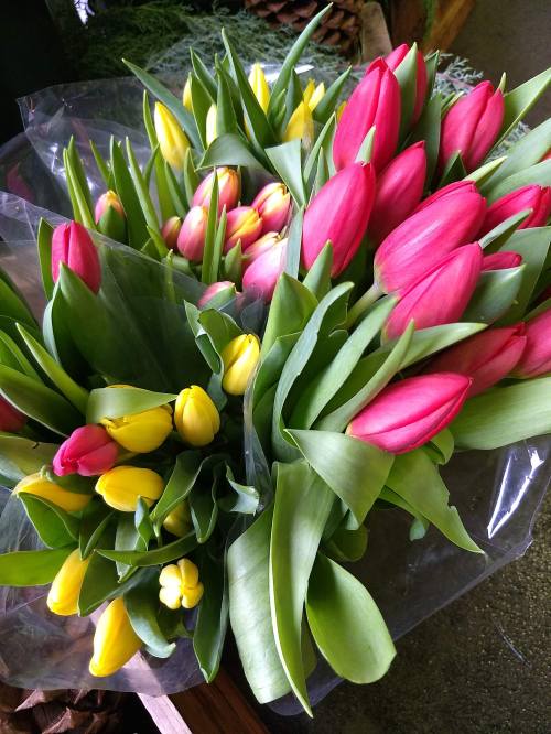 IMG_20191120_100053522