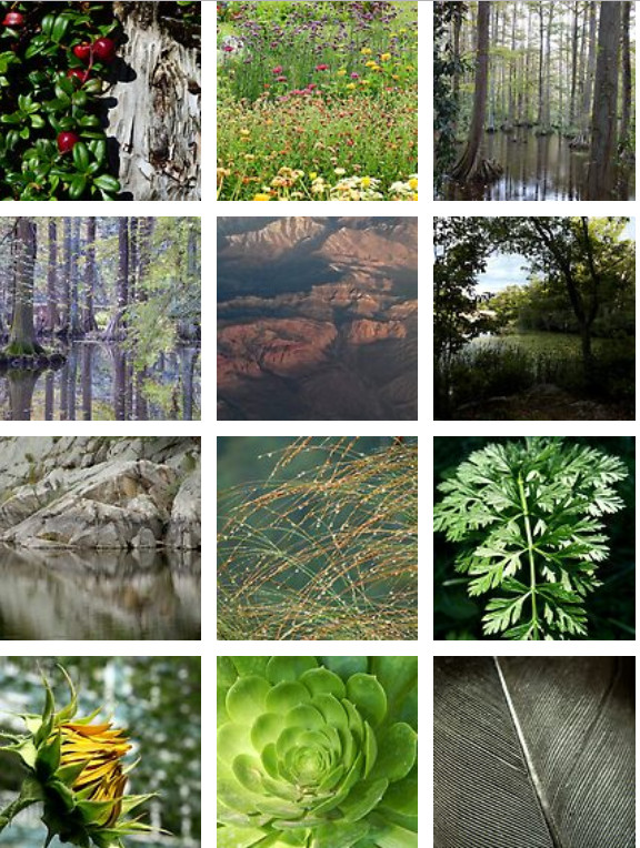 redbubbleshopupdate2019