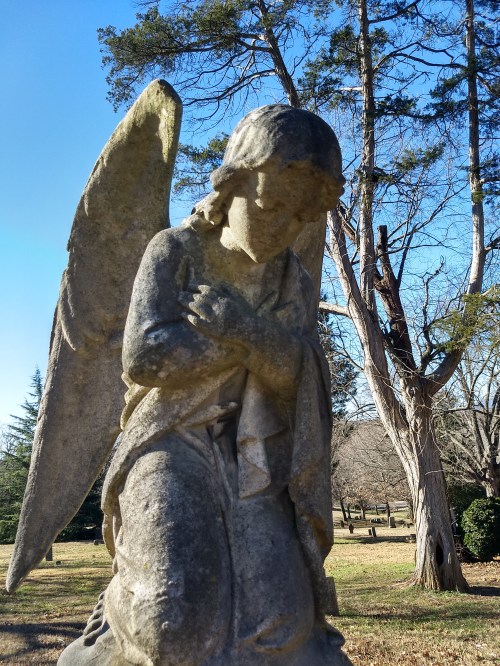 IMG_20200106_122400693_HDR