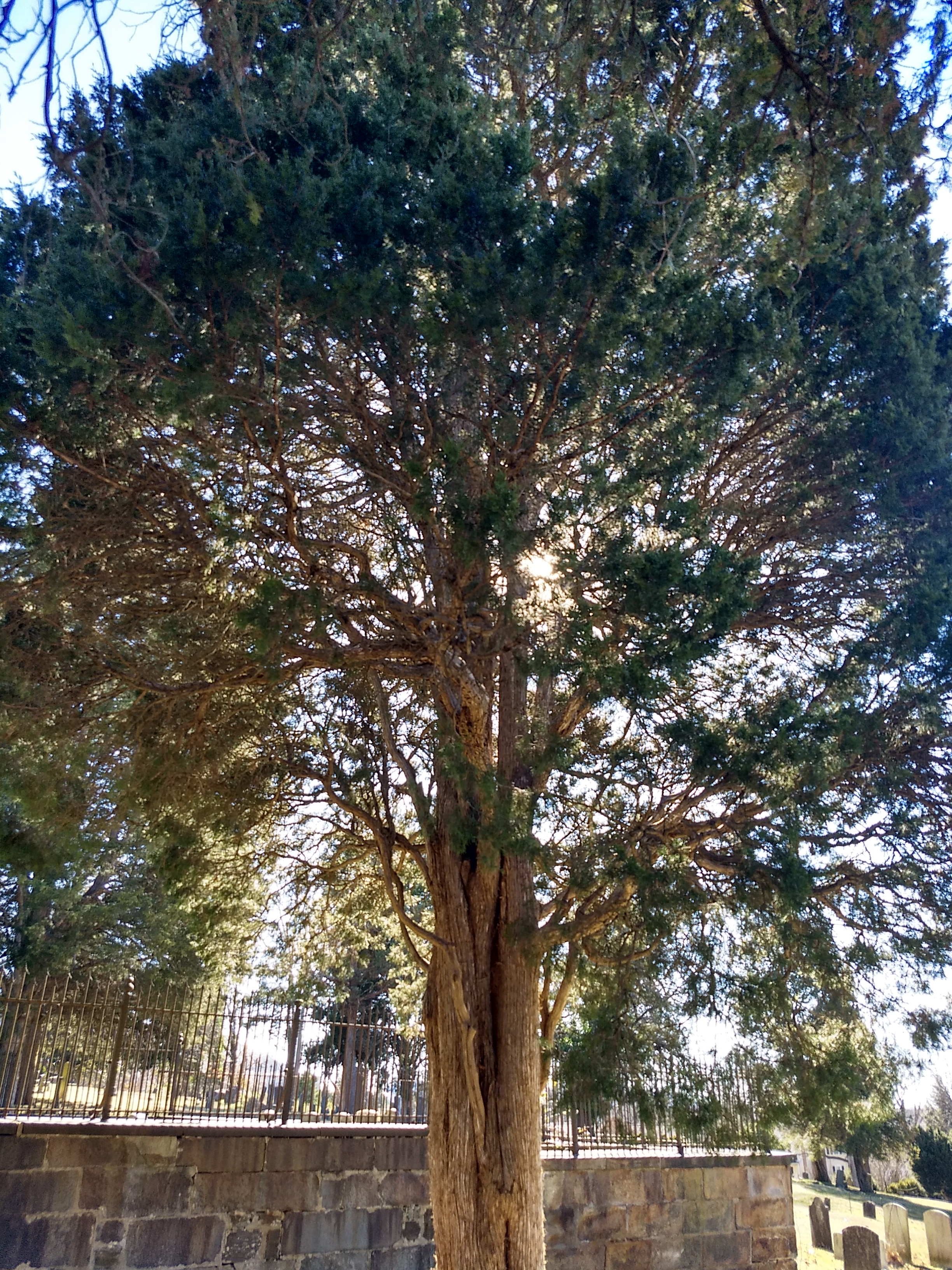IMG_20200106_124836663_HDR
