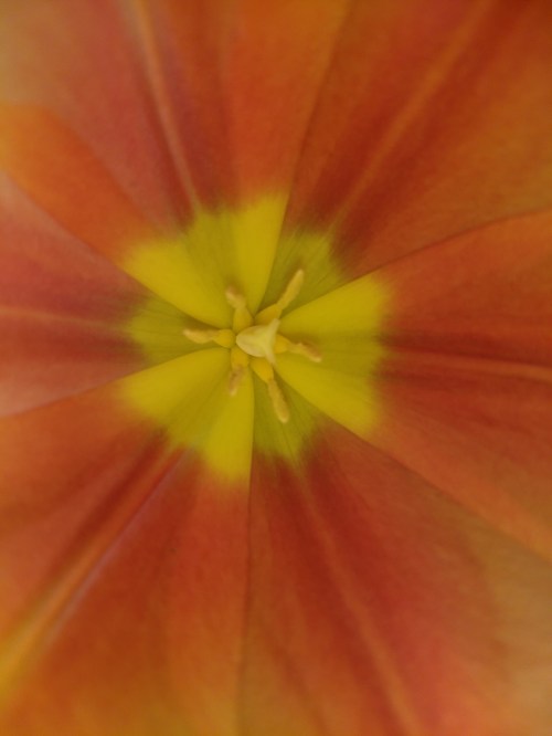 IMG_20200118_102308676