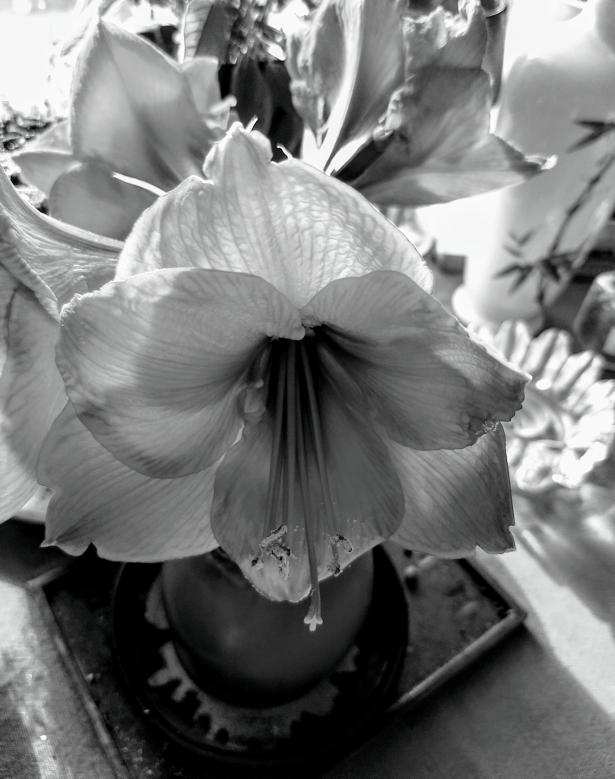 IMG_20200124_120314641~2