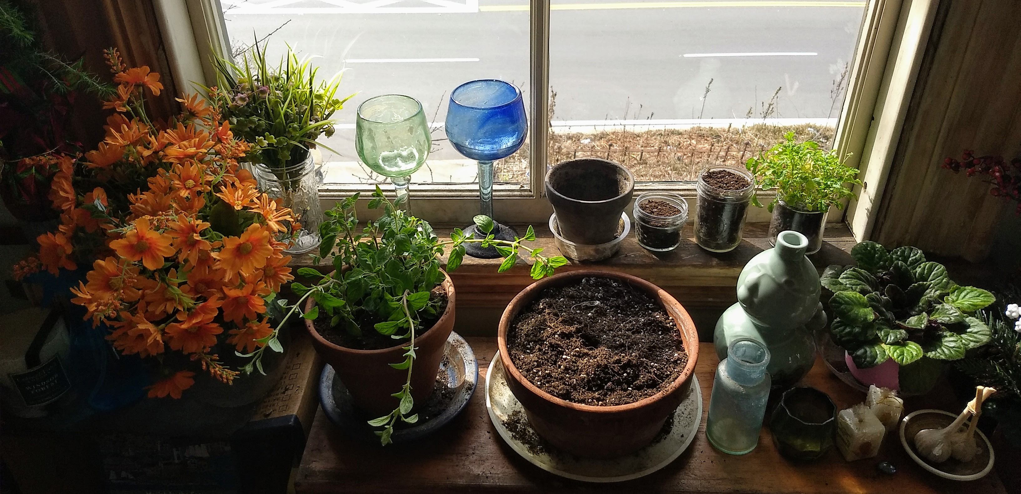 IMG_20200310_105539990_2