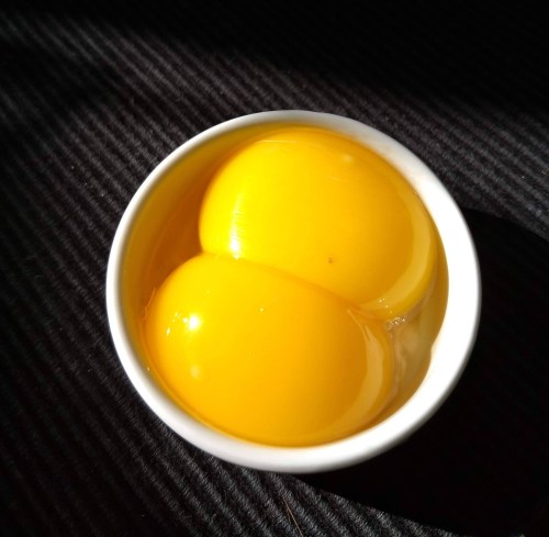 IMG_20200322_101412826