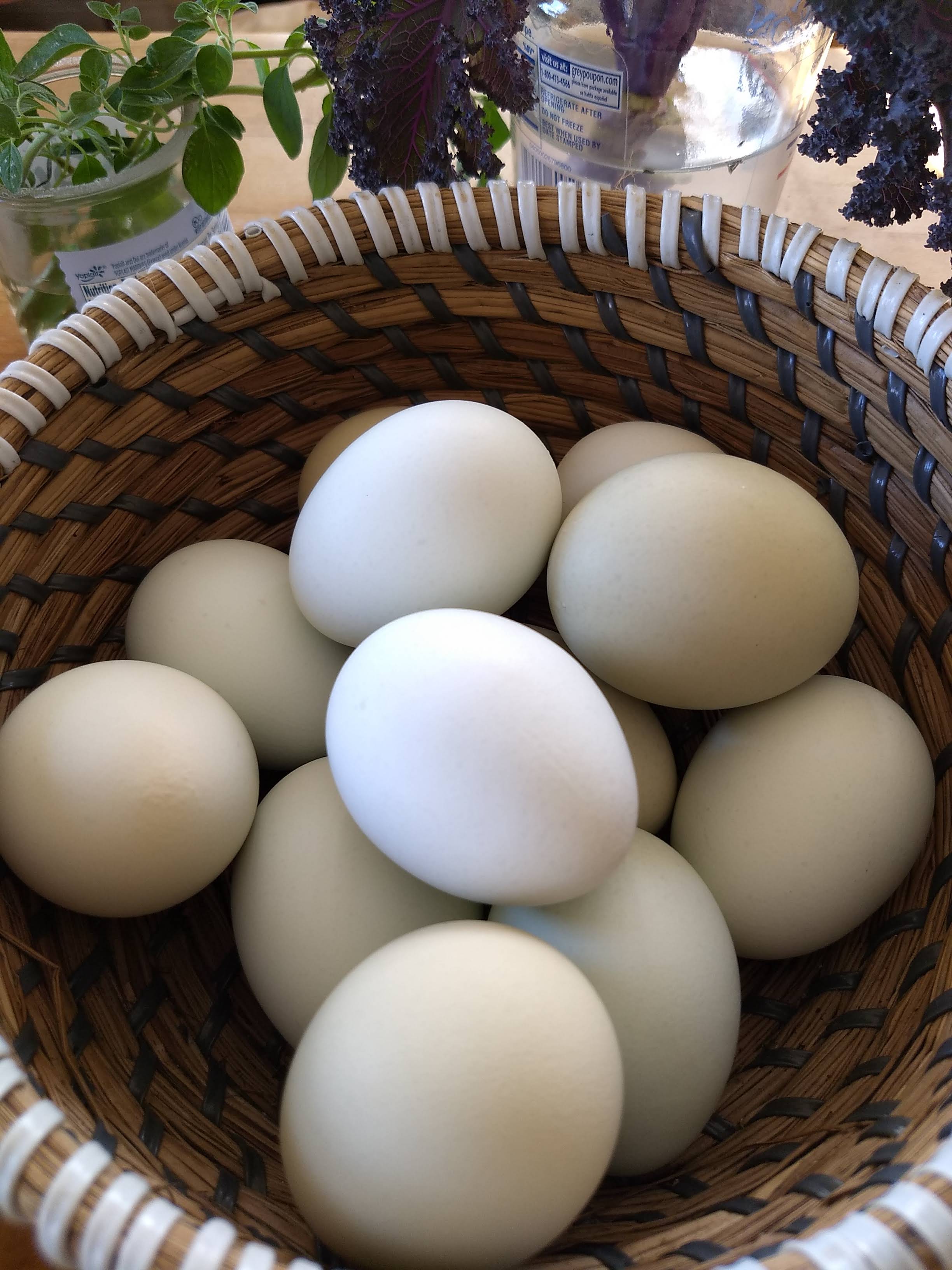 IMG_20200331_163957267