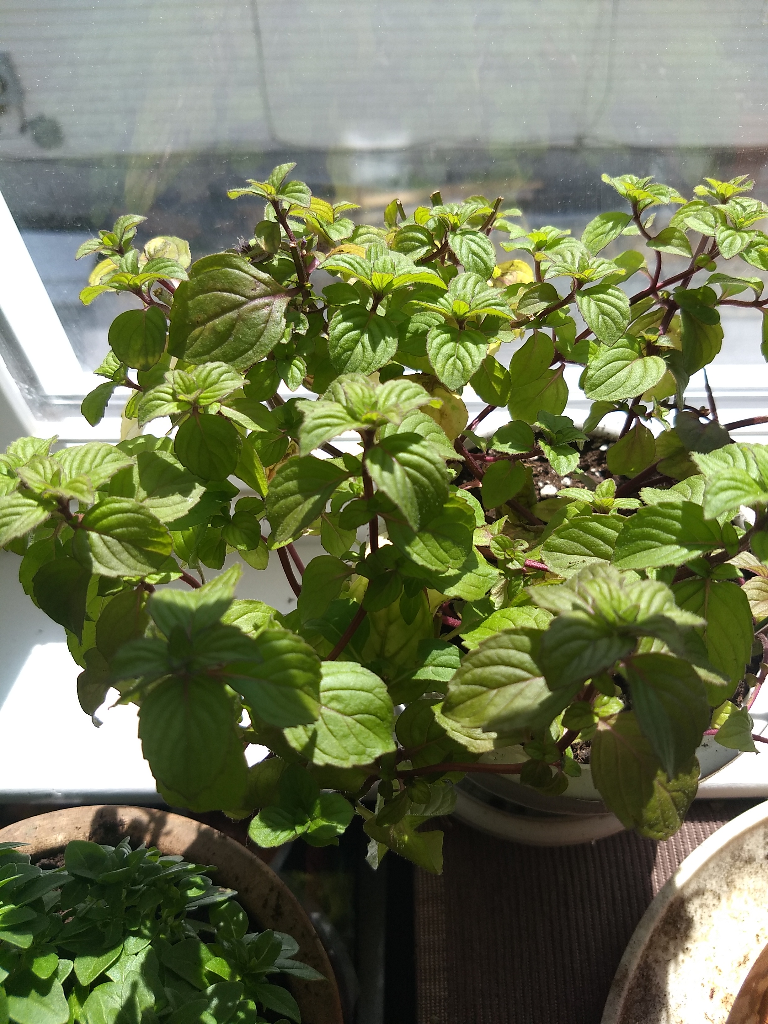 IMG_20200514_102140225