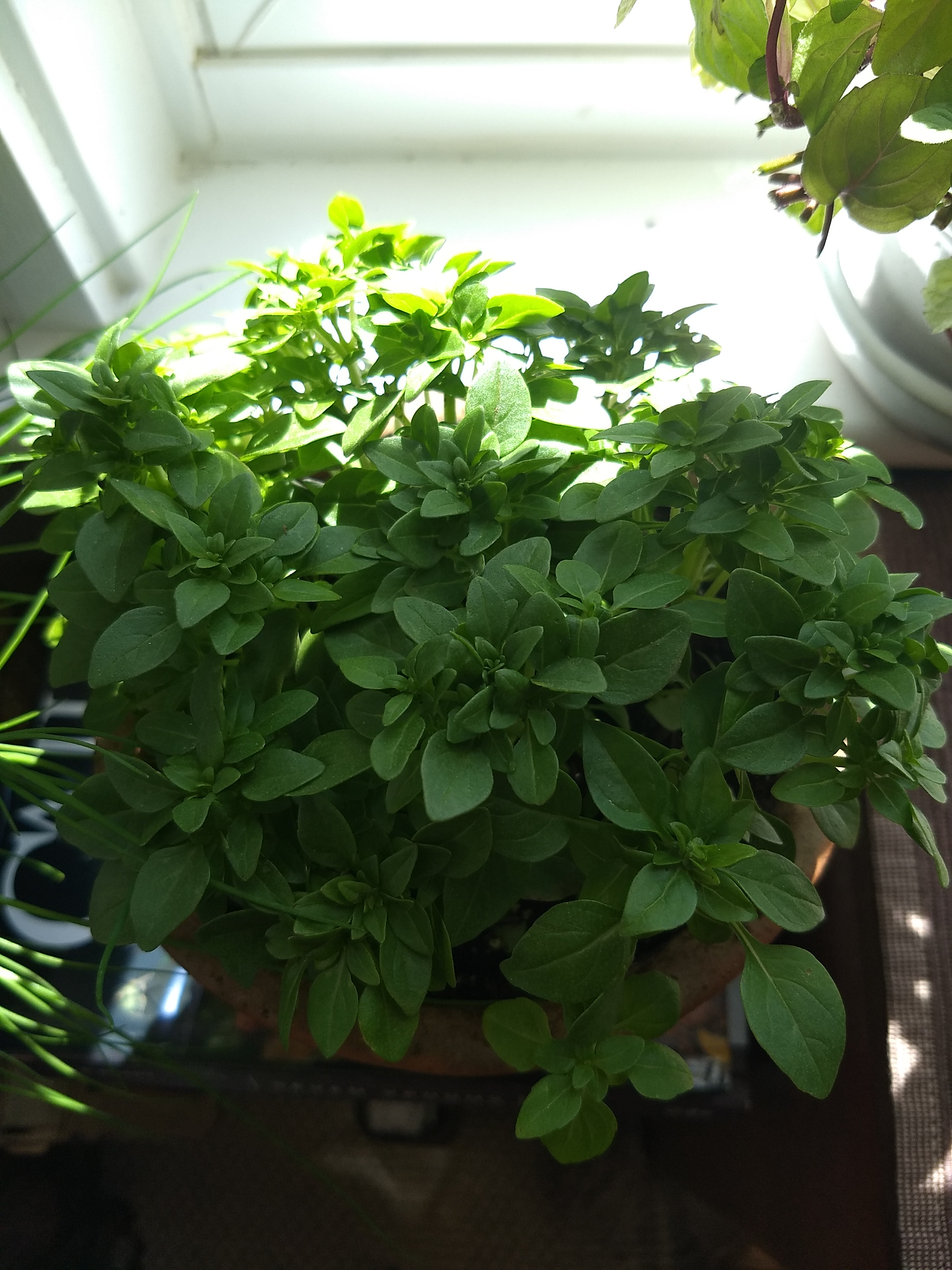 IMG_20200514_102151933