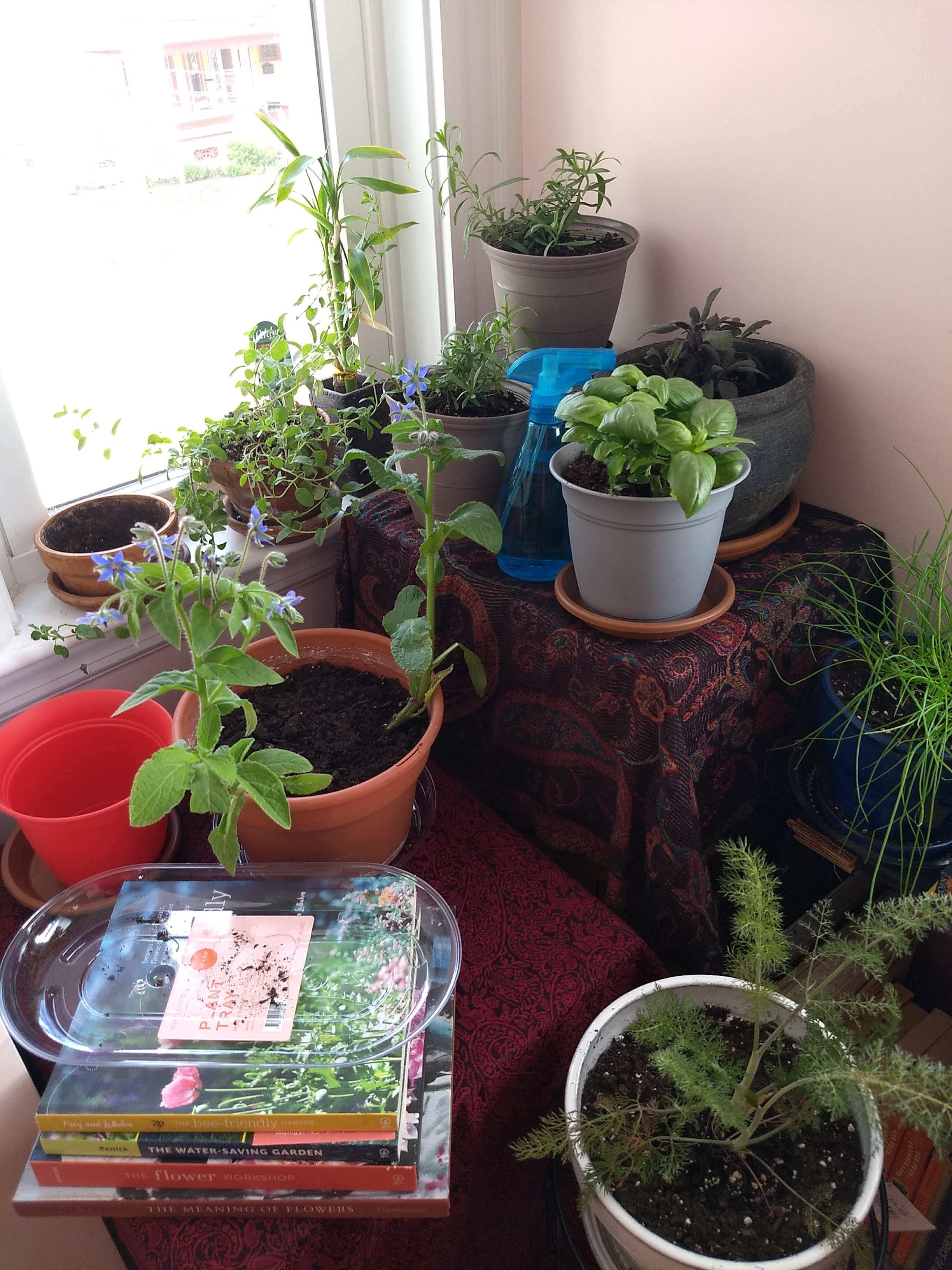 IMG_20200516_174110291