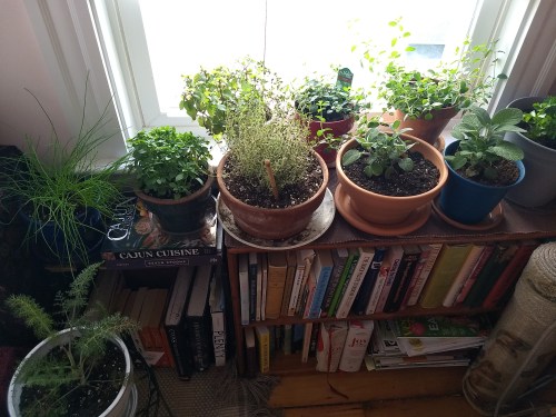 IMG_20200516_174116231