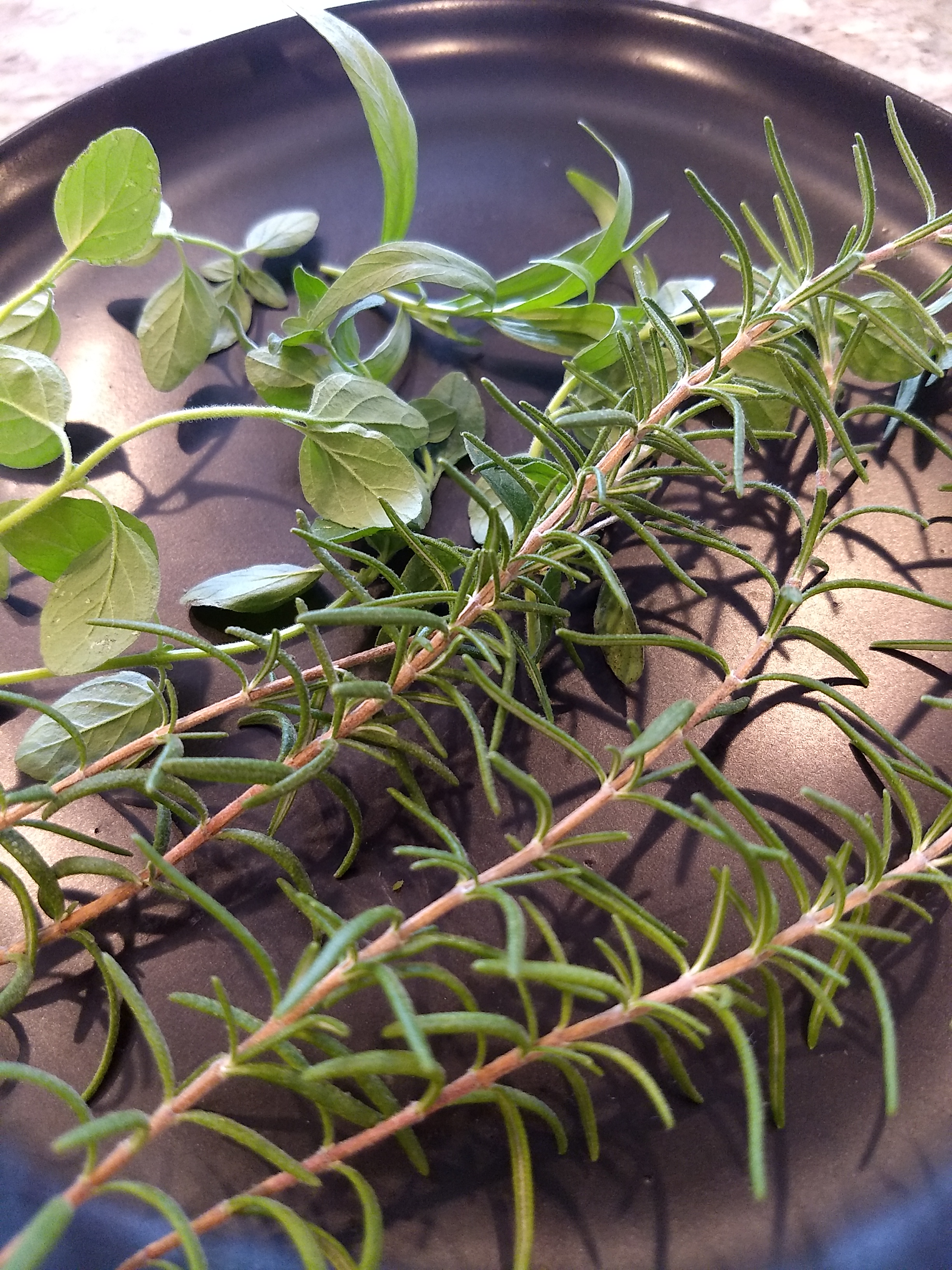 IMG_20200516_181732970